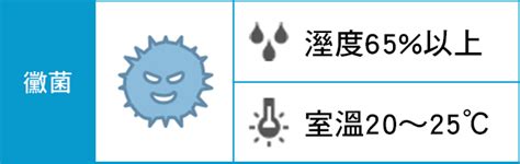 黴菌生長濕度|11 種有效減輕室內黴菌過敏症狀的方法 